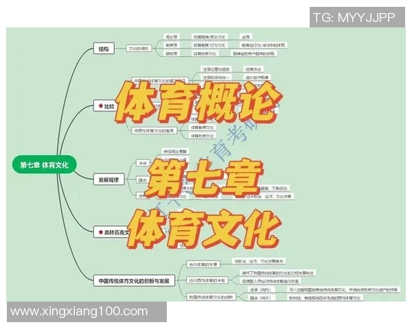探索竞技体育的多元化发展与全球化趋势对运动员生涯的深远影响