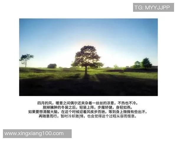 从青涩少年到足球明星的华丽转身与激情瞬间描写